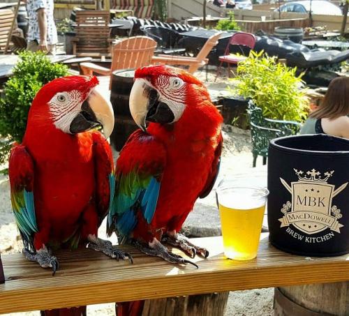 FB IMG 1509675440139